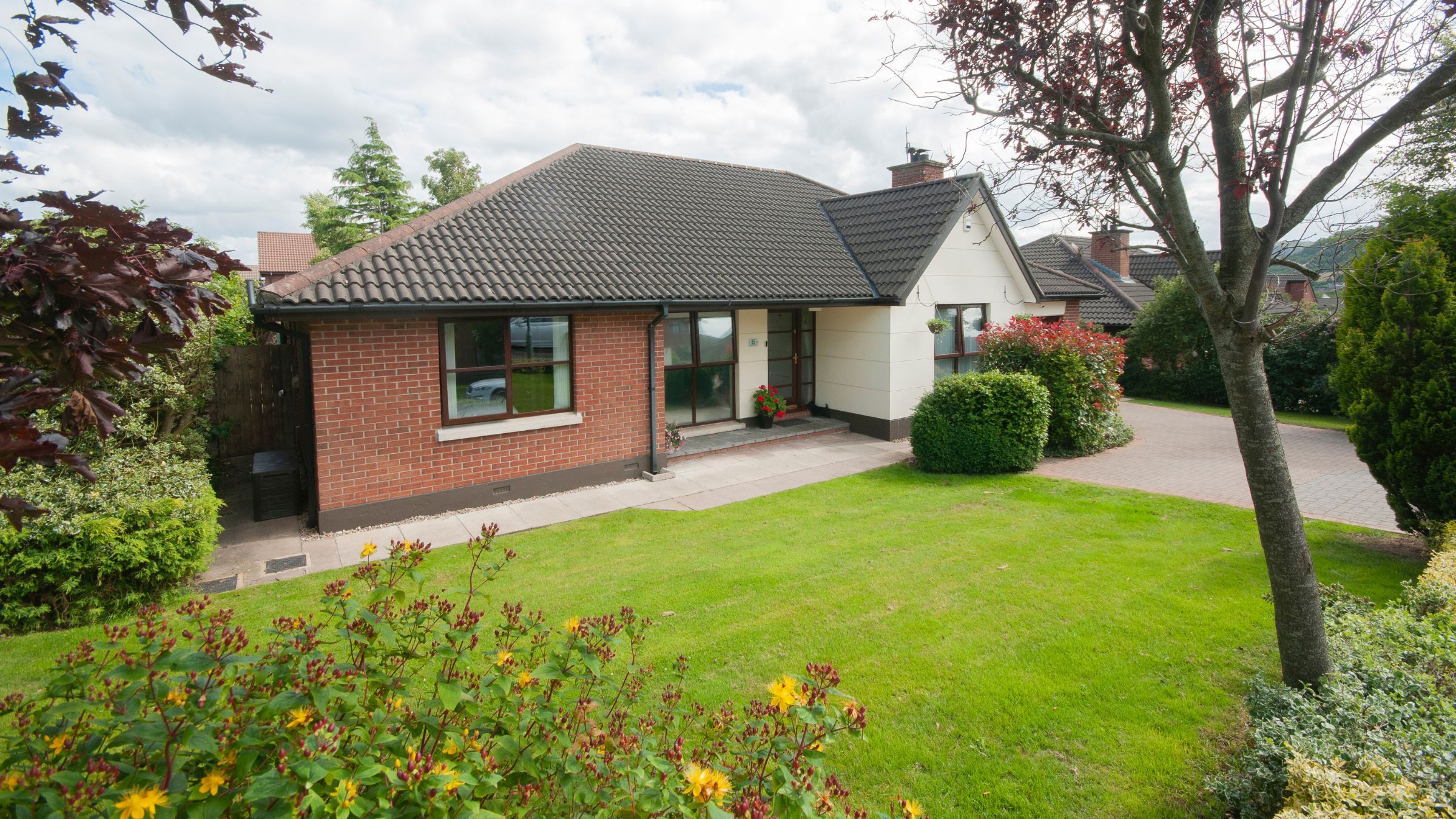 Tidy front garden with a clipped hedge and edged lawn