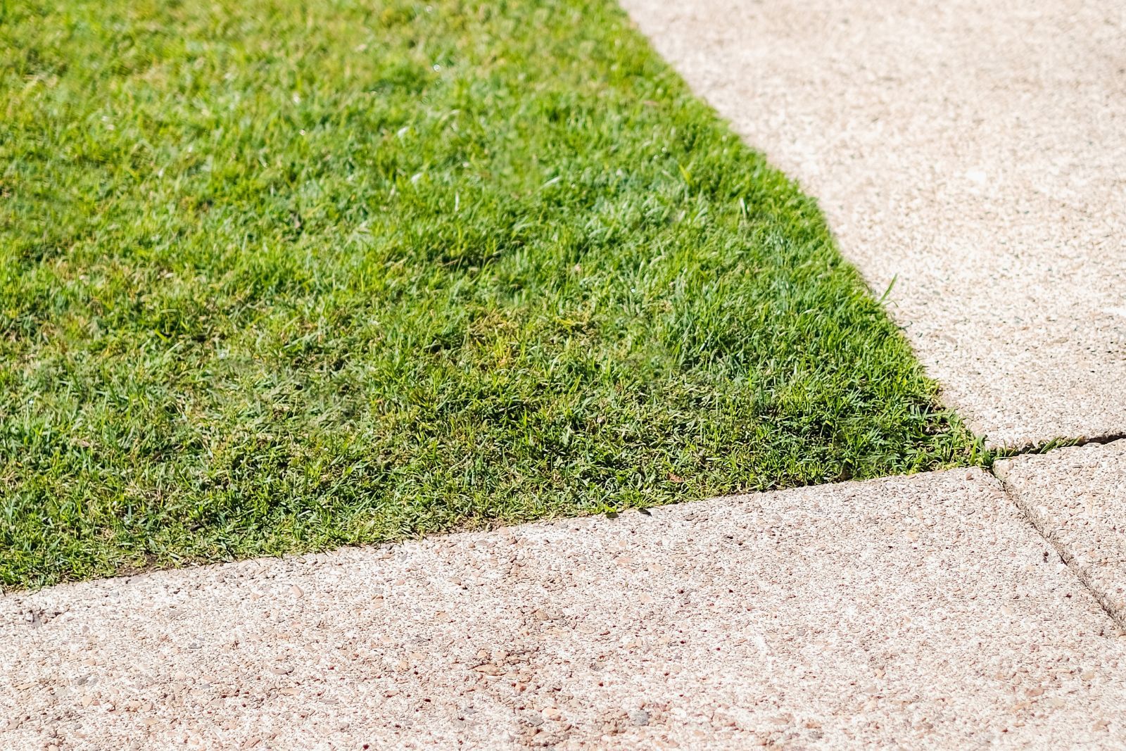 Cutting a lawn edge along a path