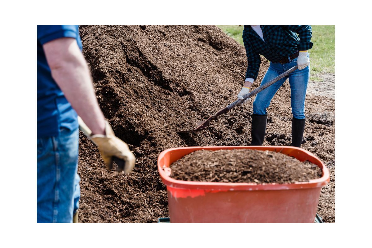 Weeding a garden bed by hand